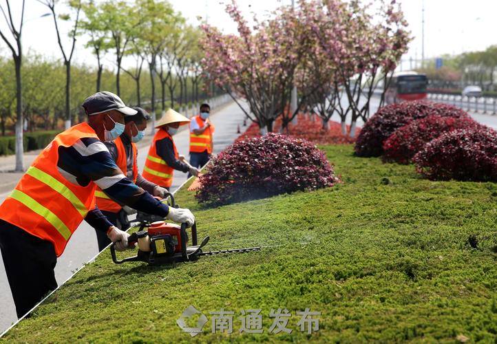 就地取材！園林管理機制問題亟待解決，建議借鑒成功案例