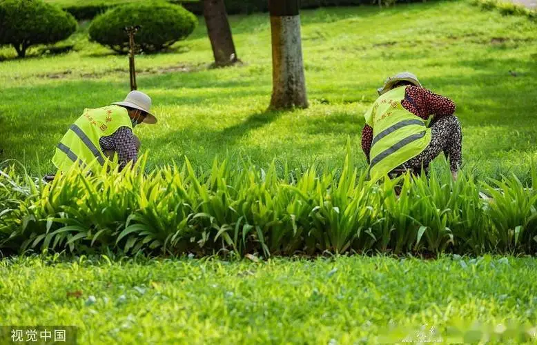 花木城園林景觀設計案例