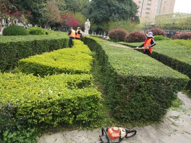 大型戶外園林景觀設計